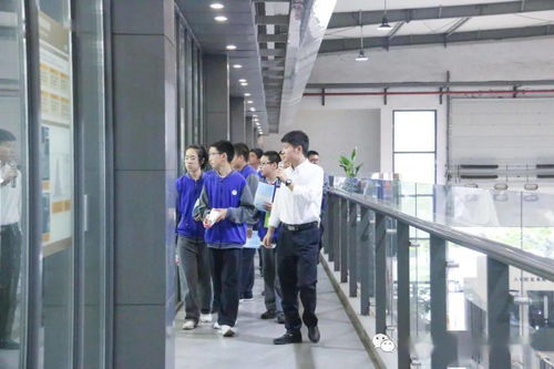 探秘智造前沿 临安区锦城二中师生走进西子电梯科技开展商务信息咨询实践活动